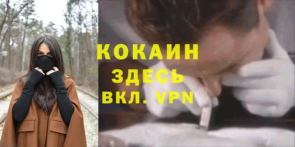 альфа пвп Соликамск