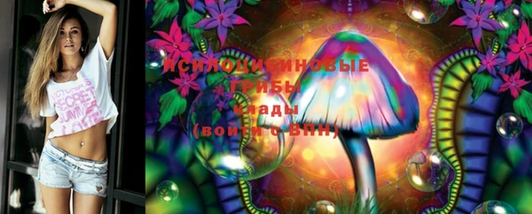 2c-b Михайловка