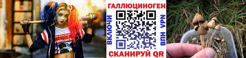 Галлюциногенные грибы ЛСД  Тара 