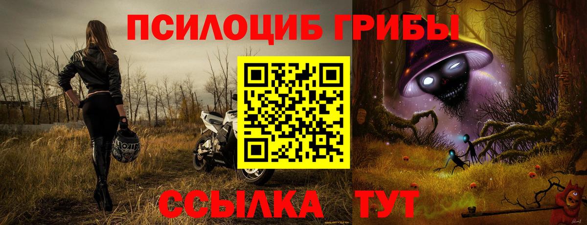 Галлюциногенные грибы MAGIC MUSHROOMS  Вход с VPN  Тара 