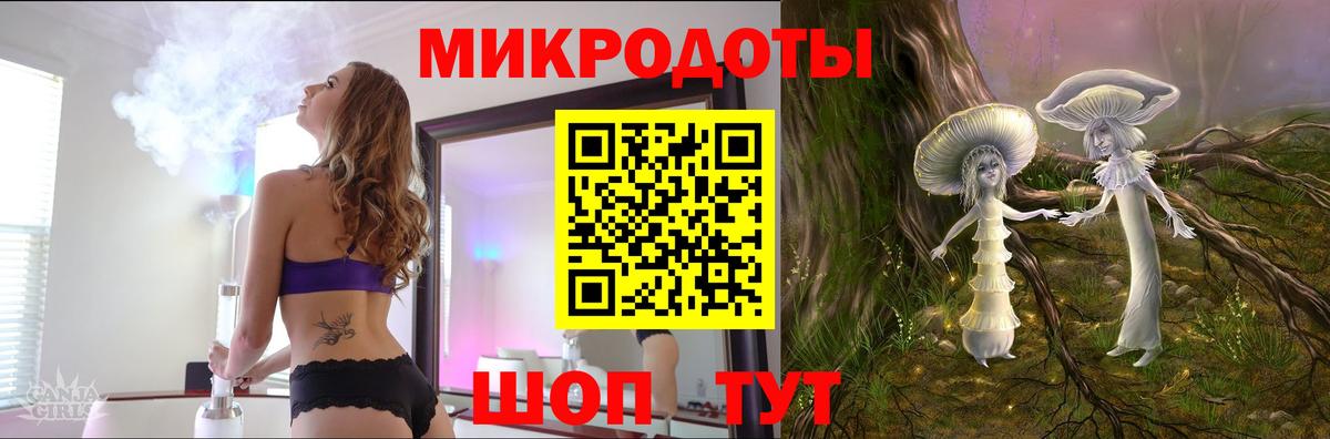 Псилоцибиновые грибы Psilocybine cubensis Тара